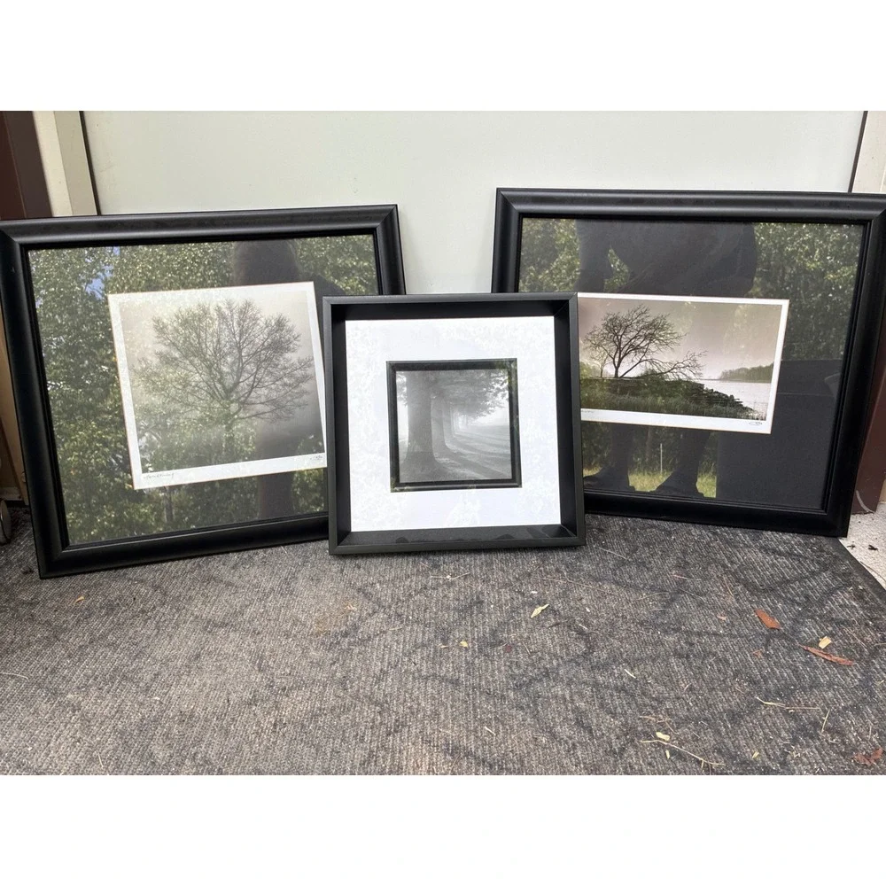 Set of 3 Framed Landscape Tree Photos Awakening Riverview Misty Fog Wall Art